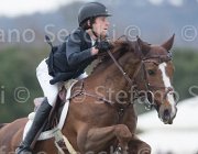 Clayton Mr Darcy TosTour 2013- S5 7266 : Arezzo Equestrian Centre, Clayton Joseph, Mr Darcy, Toscana Tour 2013, foto di Stefano Secchi ©